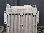 Engine control unit/module ECU