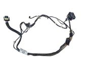 Front door wiring loom