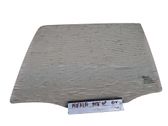 Rear door window glass