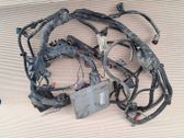 Motorsteuergerät ECU