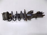 Amortiguador delantero con muelle espiral