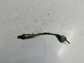 Sonde lambda