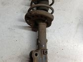 Front shock absorber/damper