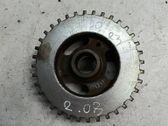 Crankshaft pulley