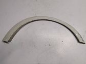 Fender trim (molding)