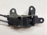 Tailgate/trunk/boot lock/catch/latch