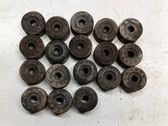 Wheel nut cap/cover