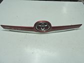 Trunk door license plate light bar