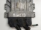 Engine control unit/module ECU