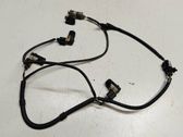 Parking sensor (PDC) wiring loom