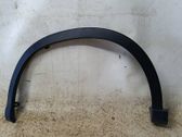 Fender trim (molding)