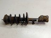 Front shock absorber with coil spring