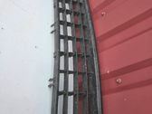 Front bumper lower grill