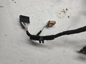 Front door wiring loom