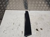 Front door glass trim molding