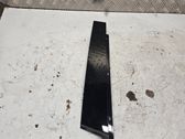 Front door glass trim molding