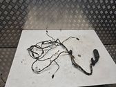 Front door wiring loom