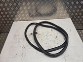 Rear door rubber seal (on body)