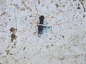 Kühlmitteltemperatur Sensor Fühler Geber