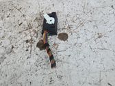 Other wiring loom
