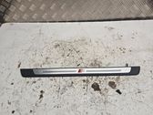 Front sill trim cover