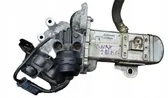 AGR Thermostat