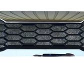 Front grill