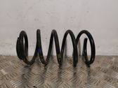 Rear coil spring