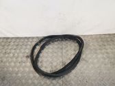 Front door rubber seal