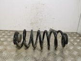 Rear coil spring