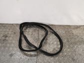 Loading door rubber seal (on body)