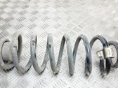 Rear coil spring