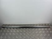 Rear door glass trim molding