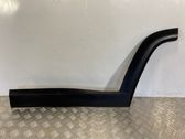 Rear door trim (molding)