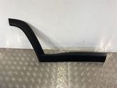 Rear door trim (molding)