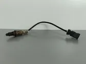 Lambdasonde Regelsonde