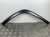 Rear fender molding trim