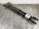 Rear shock absorber/damper