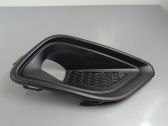 Front fog light trim/grill