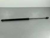 Tailgate/trunk strut/damper