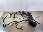 Engine installation wiring loom