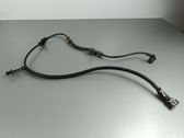 ABS Sensor