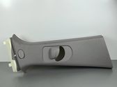 (B) pillar trim (top)