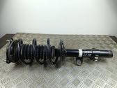 Front shock absorber/damper