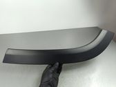 Rear door trim (molding)