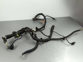 Positive wiring loom