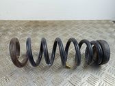 Feder hinten