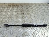 Front bonnet/hood damper/strut