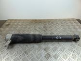 Rear shock absorber/damper