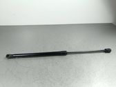 Tailgate/trunk strut/damper